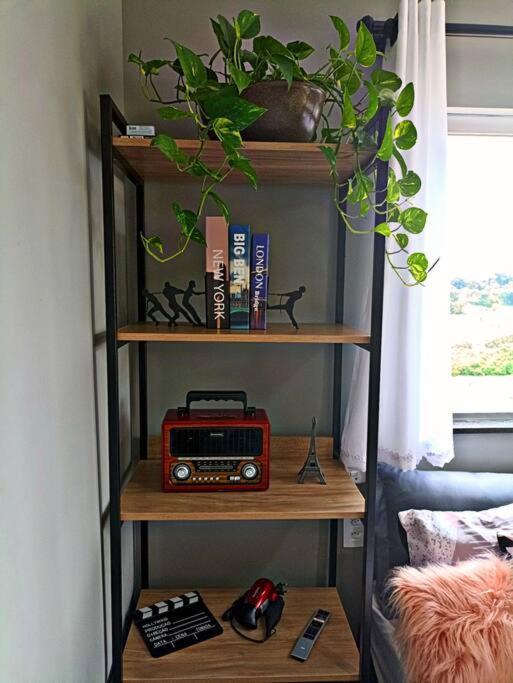 Tiny House Paraiso Minicasas Com Hidromassagem بوسو أليغري المظهر الخارجي الصورة
